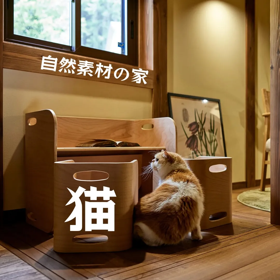 自然素材びに囲まれた空間で猫と暮らす家。