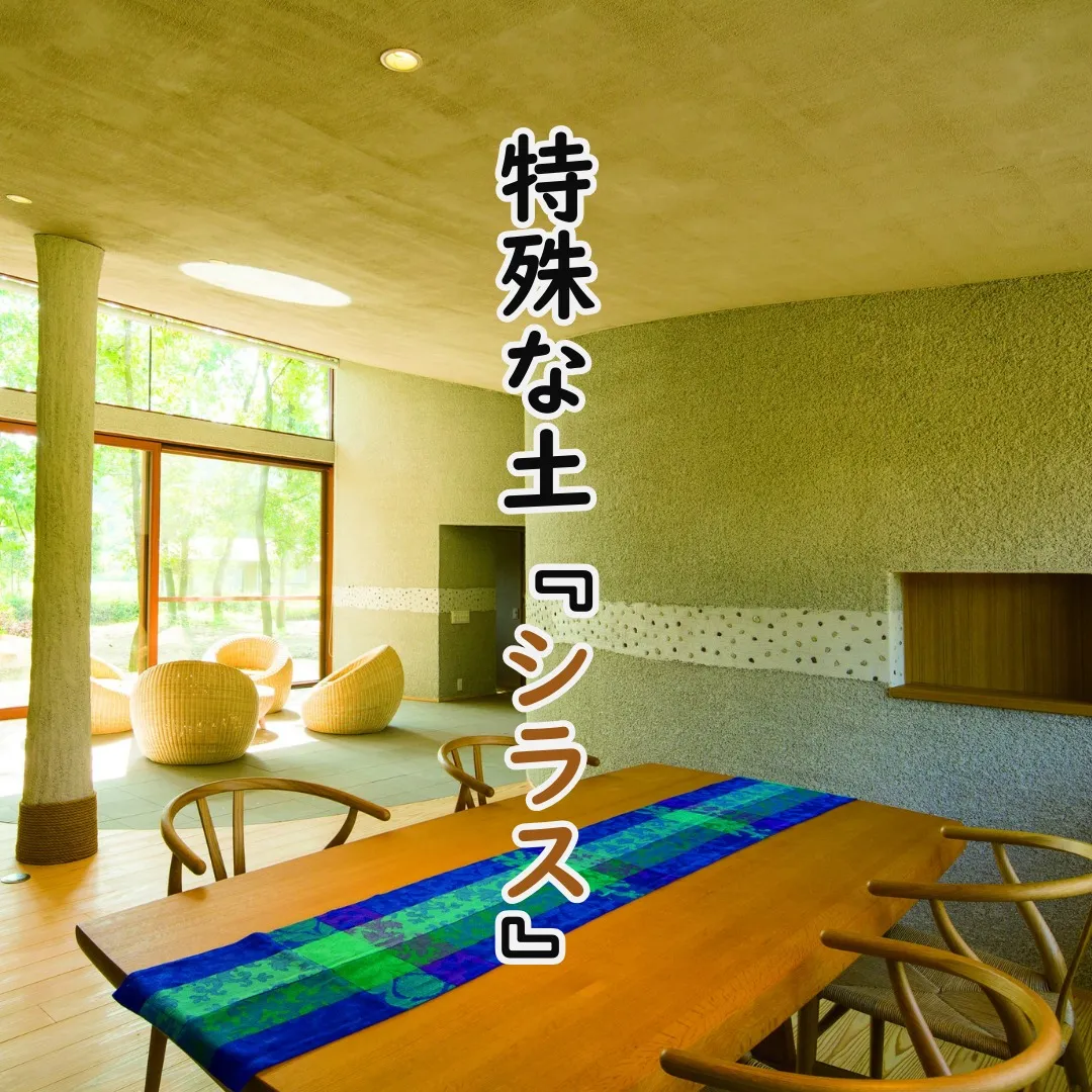 シラスとは何か？