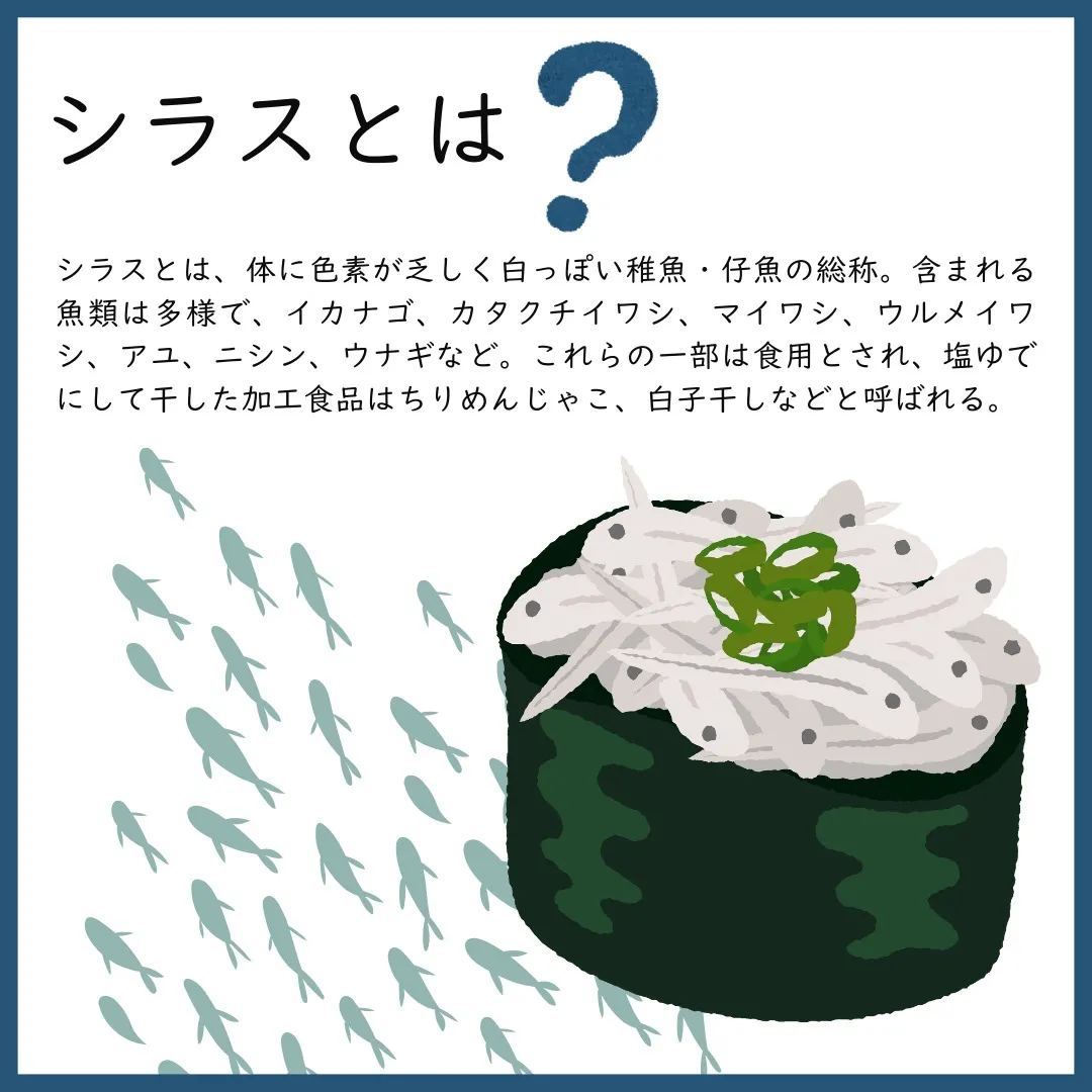 シラスとは何か？