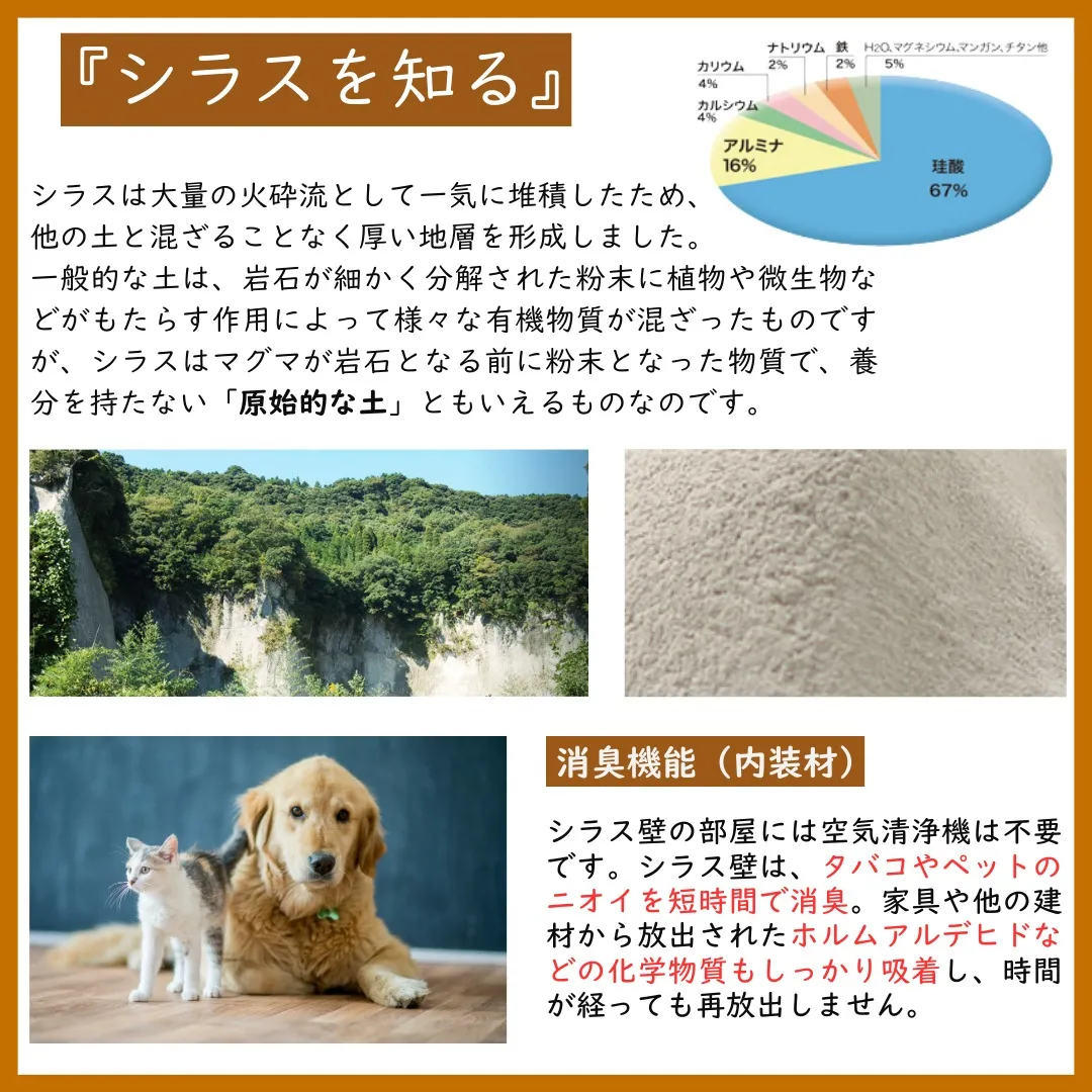 シラスとは何か？